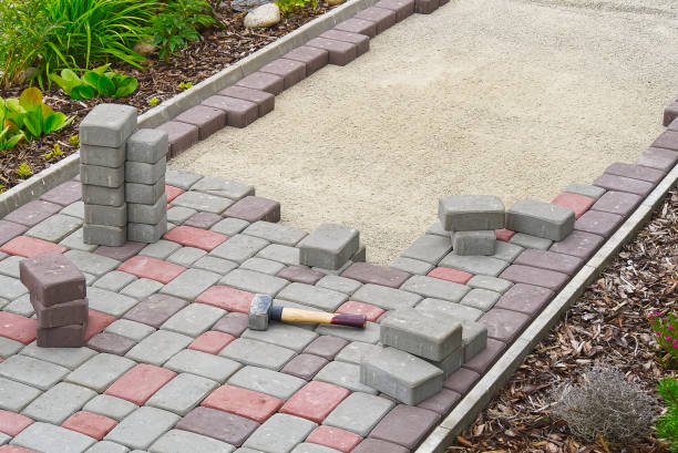 Best Driveway Repair Near Me  in El Cenizo, TX