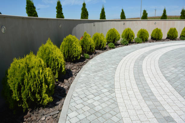 Reliable El Cenizo, TX Driveway Pavers Solutions